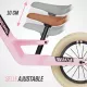 draisienne Berg BIKY
